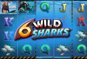 Demo 6 Wild Sharks