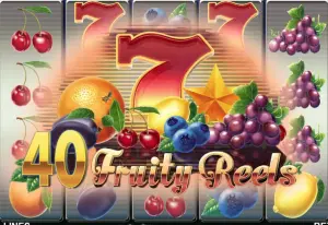 Demo 40 Fruity Reels