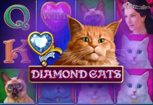 Demo Diamond Cats