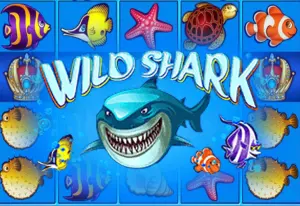 Demo Wild Shark