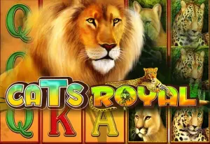 Demo Cats Royal