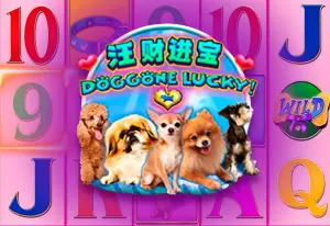 Demo Doggone Lucky!