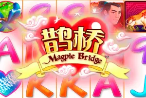 Demo Magpie Bridge