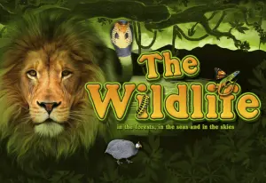 Demo The Wildlife