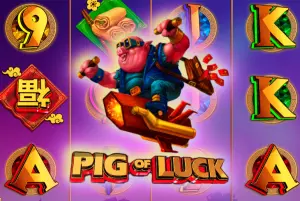Demo Pig Of Luck