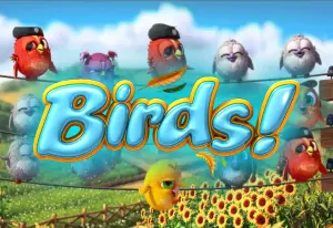 Demo Birds