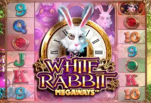 Demo White Rabbit