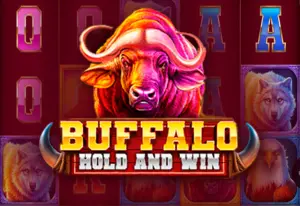 Demo Buffalo Hold and Win