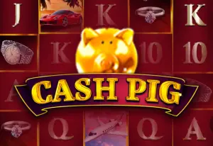 Demo Cash Pig