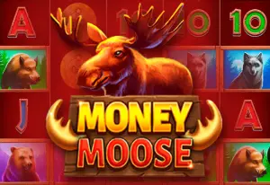 Demo Money Moose