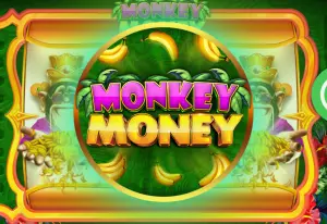 Demo Monkey Money