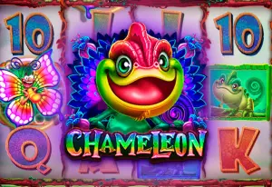 Demo Chameleon
