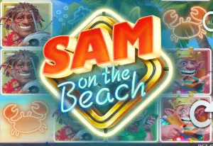 Demo Sam on the Beach