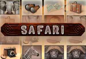 Demo Safari