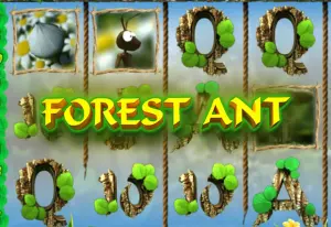 Demo Forest Ant