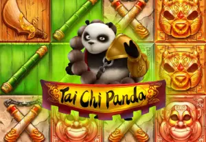Demo Tai Chi Panda