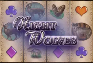 Demo Night Wolves