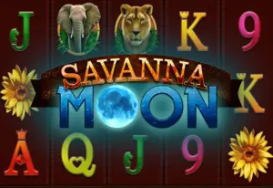 Demo Savanna Moon