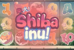 Demo Shiba Inu