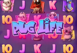 Demo Pug Life