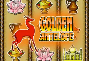Demo Golden Antelope
