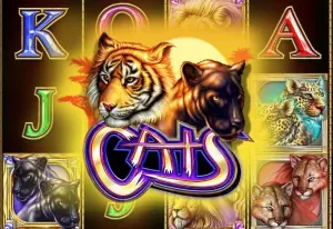 Demo Cats
