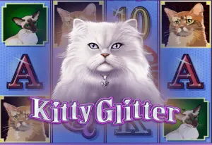 Demo Kitty Glitter