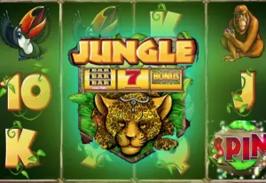 Demo Jungle