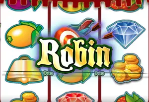 Demo Robin