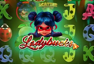Demo Ladybucks