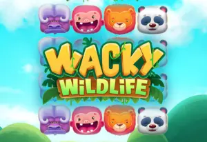 Demo Wacky Wildlife