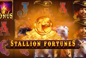 Demo Stallion Fortunes