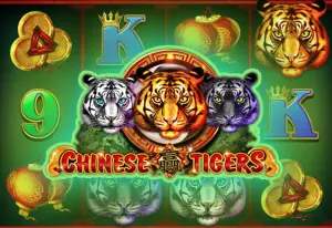 Demo Chinese Tigers