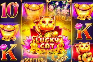 Demo Lucky Cat