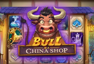 Demo Bull in a China Shop