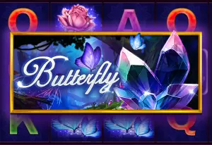 Demo Butterfly