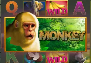 Demo Monkey