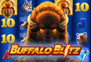 Demo Buffalo Blitz