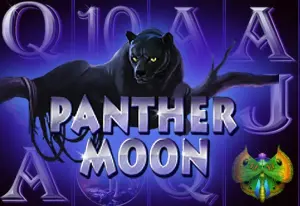 Demo Panther Moon