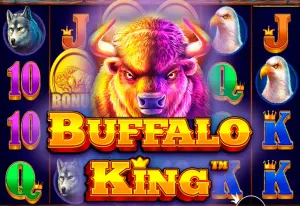 Demo Buffalo King
