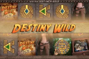 Demo Destiny Wild