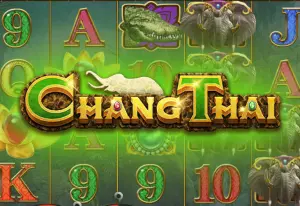 Demo Chang Thai