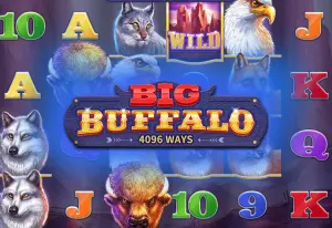 Demo Big Buffalo