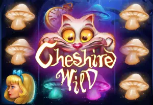 Demo Cheshire Wild