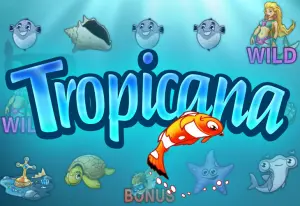 Demo Tropicana