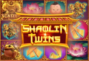 Demo Shaolin Twins
