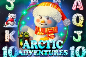 Demo Arctic Adventures