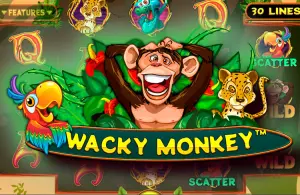 Demo Wacky Monkey
