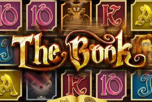 Demo The Book