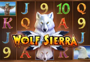 Demo Wolf Sierra